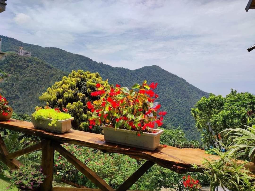 Mimosa Villa Tam Ðảo 外观 照片